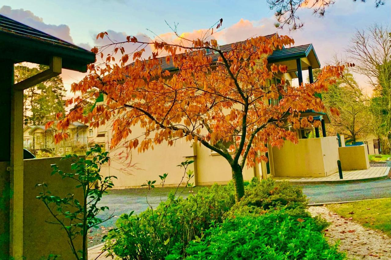 蓝山瀑布山庄酒店 温特沃斯瀑布 外观 照片